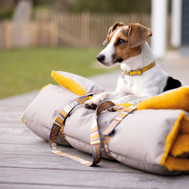 Laisse de dressage en nylon pour chien HKM Anam Cara Print taupe