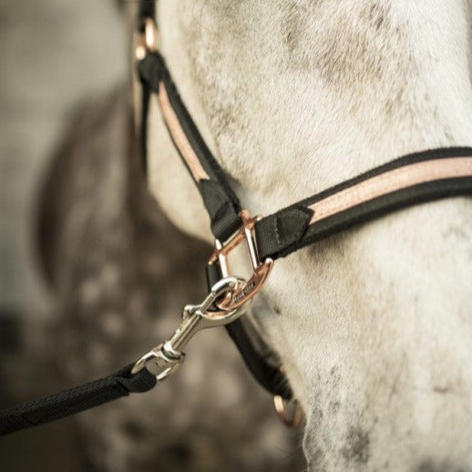 Licol pour chevaux Lami-Cell Sparkling noir et rosegold