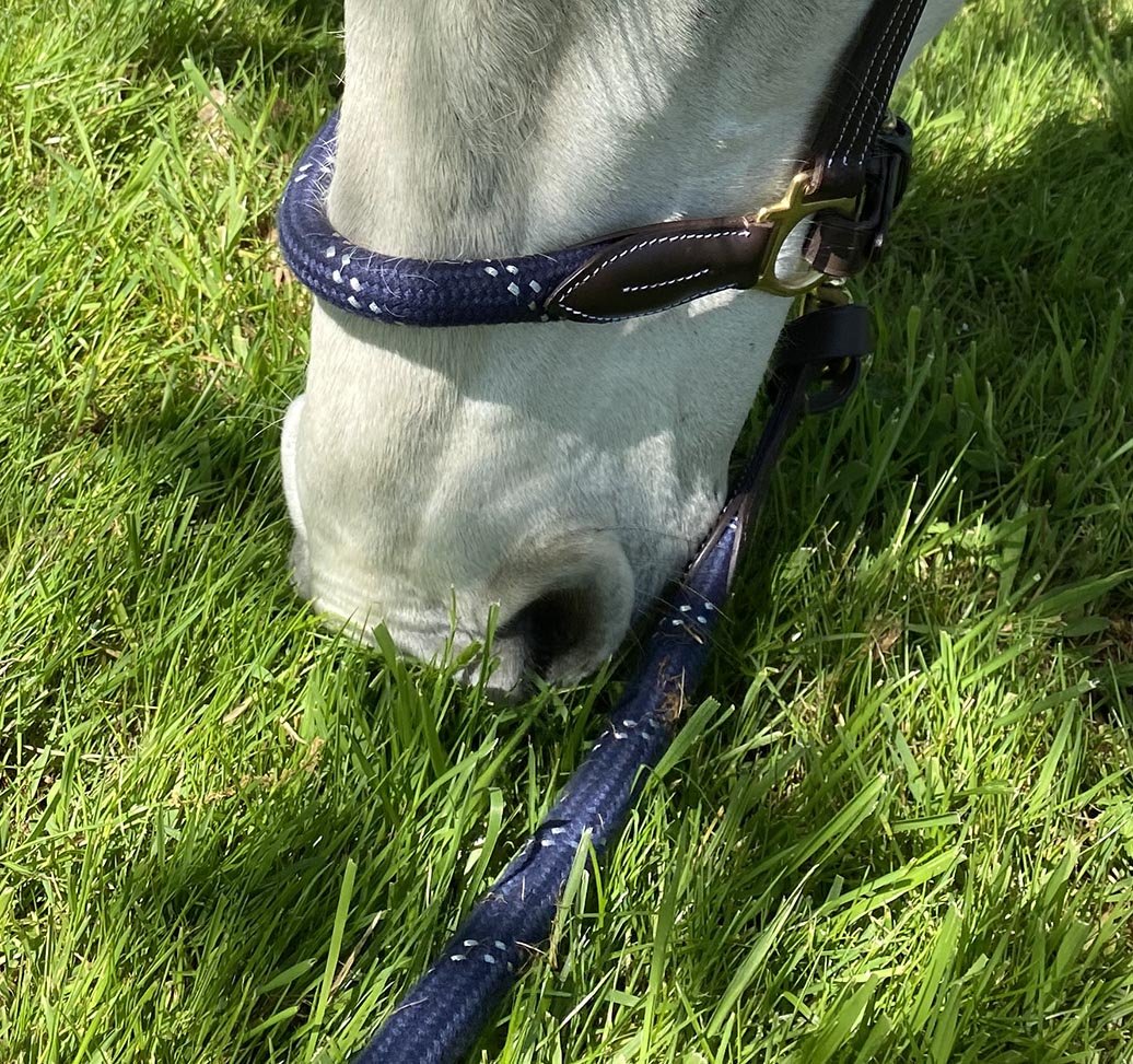 Licol pour poneys et chevaux Canter Corde détail muserolle