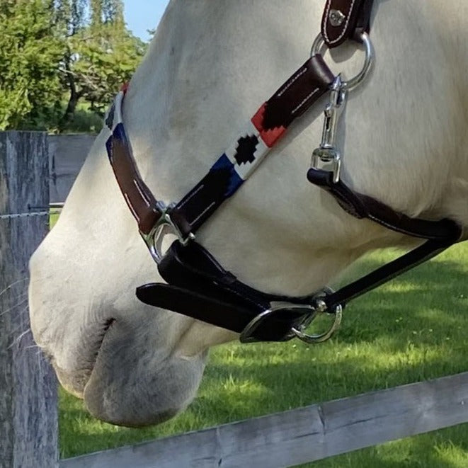 Licol en cuir brodé pour poneys et chevaux Flags&Cup Chukka marron bleu/blanc/rouge