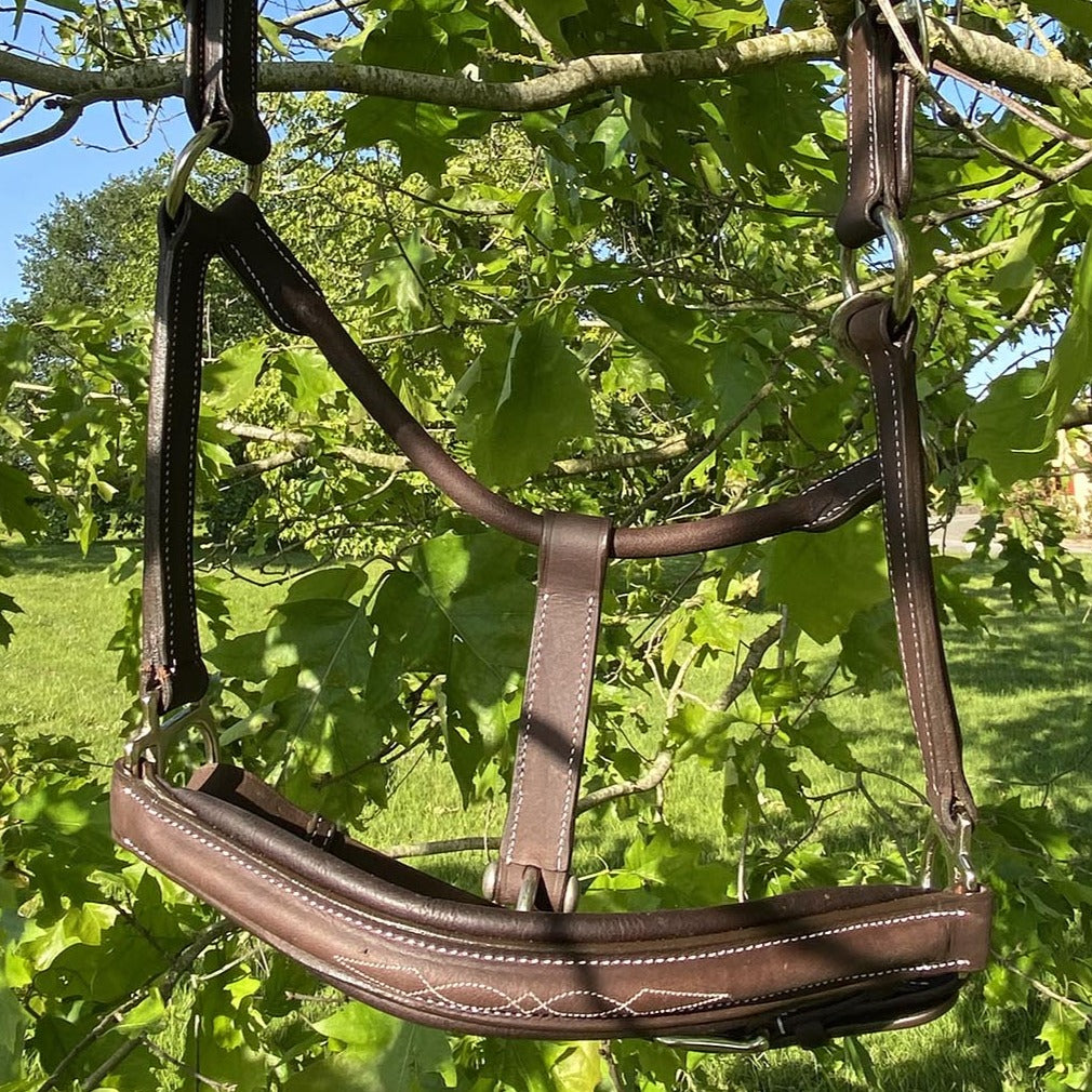 Licol en cuir gras pour poneys et chevaux Privilège Equitation Royan marron