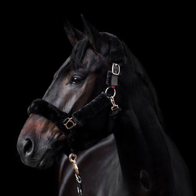 Licol doublé de fourrure synthétique pour poneys et chevaux Imperial Riding Go Star noir
