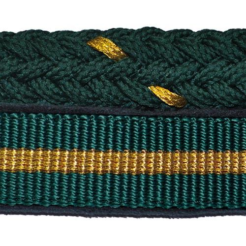 Licol et longe Canter Nylon vert/or