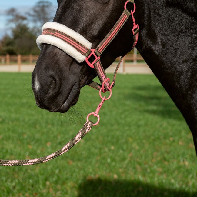Longe pour poneys et chevaux HKM Classic Polo kaki