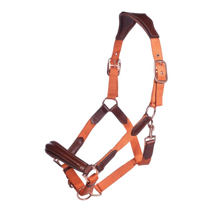 Licol nylon et cuir pour poneys et chevaux HKM Edinburgh orange