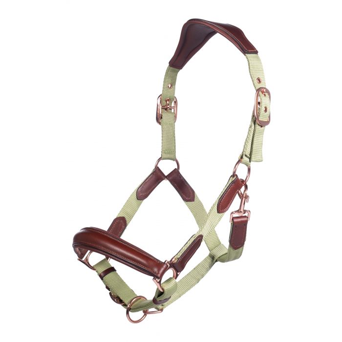 Licol nylon et cuir pour poneys et chevaux HKM Edinburgh vert pistache