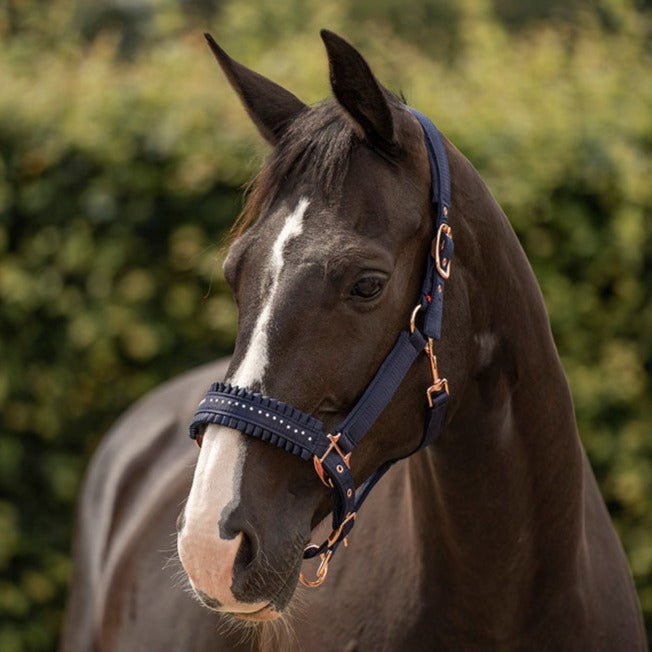 Licol pour poneys et chevaux Imperial Riding Lovely marine