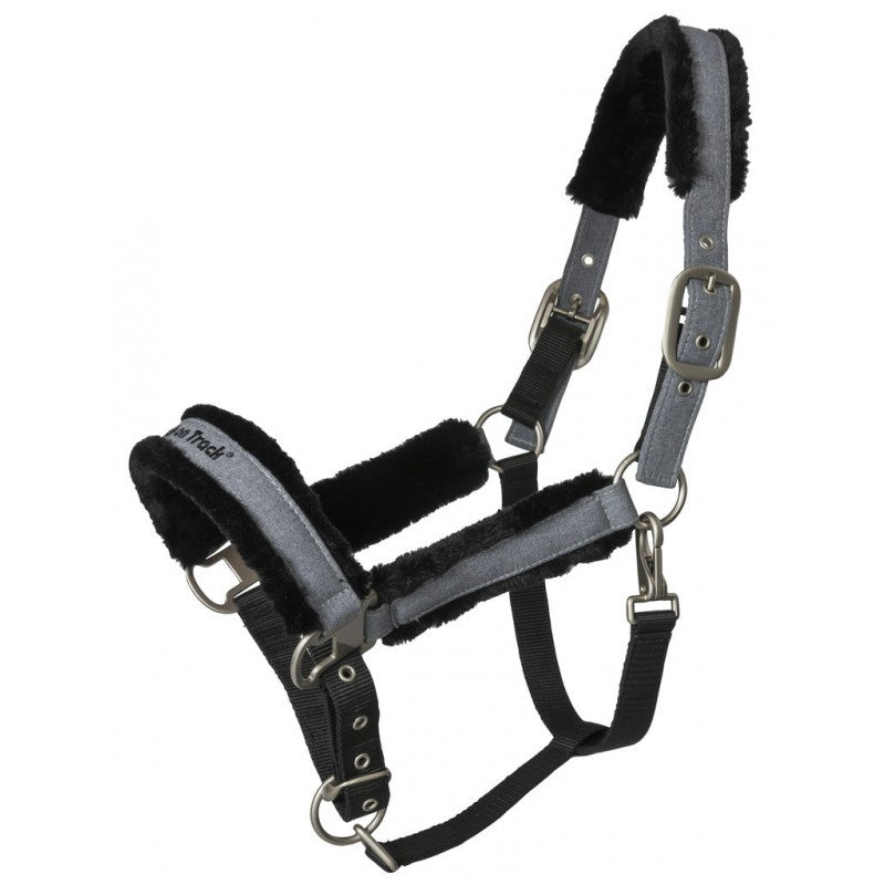 Licol aux effets thermiques pour chevaux Back On Track Haze gris