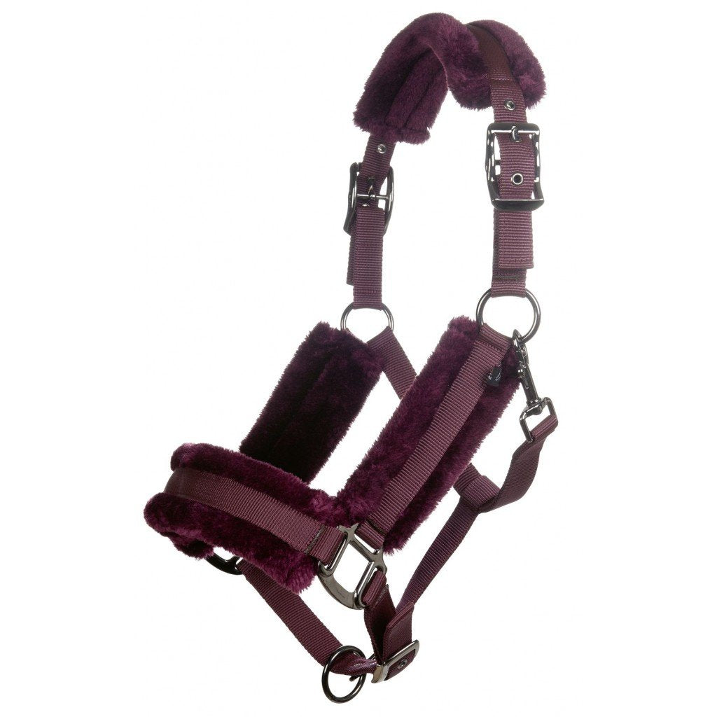 Licol doublé de mouton synthétique pour poneys et chevaux HKM Alaska bordeaux