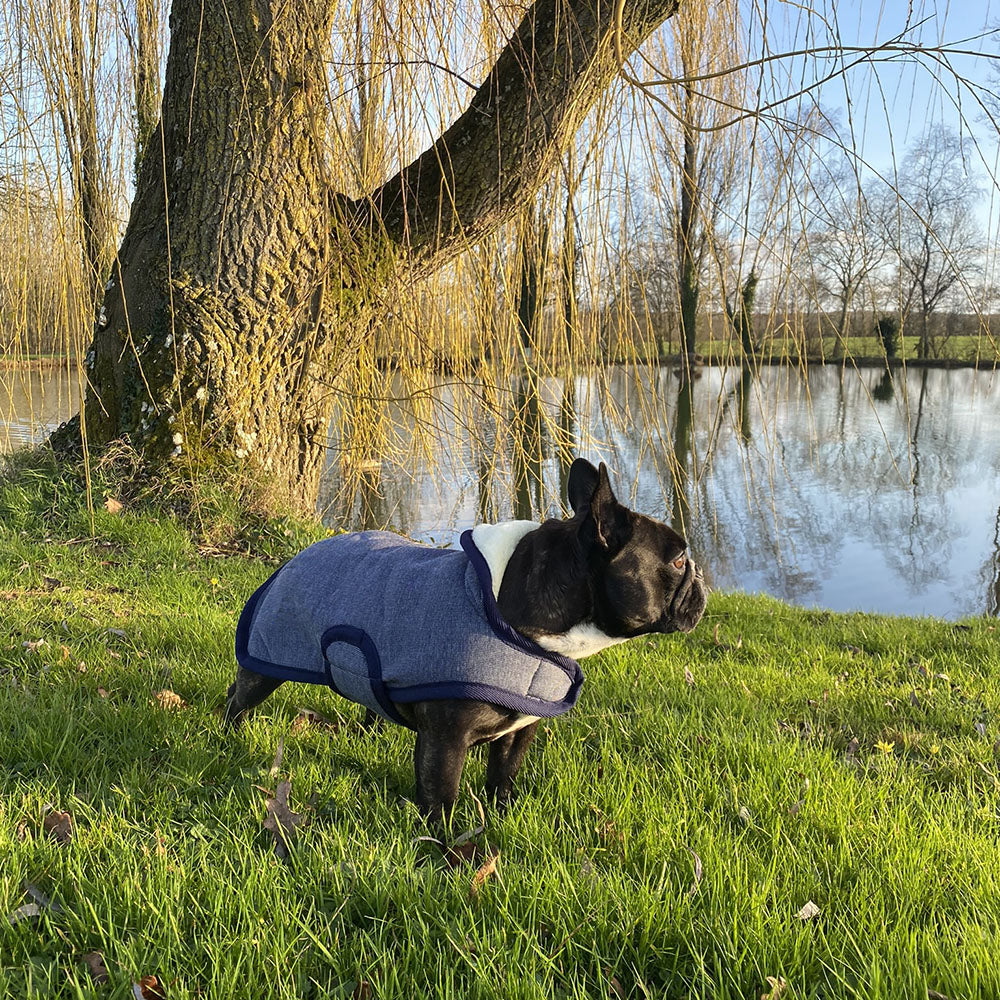 Manteau pour chien Canter doublé polaire avec col en mouton synthétique