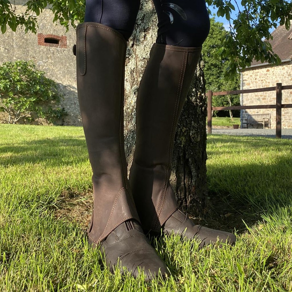 Mini-chaps en cuir gras Privilège Equitation Campo marron portées