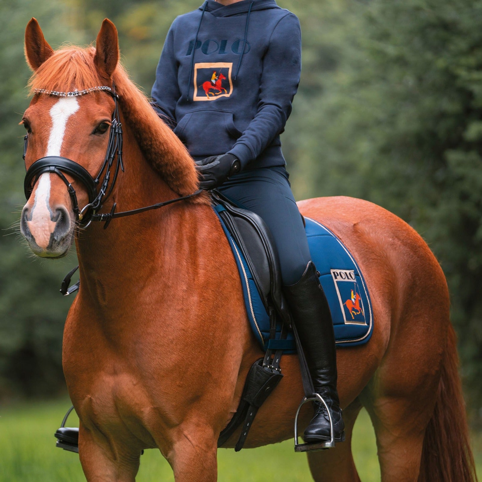 Pantalon équitation femme du 34 au 46 HKM Buenos Aires full grip marine porté