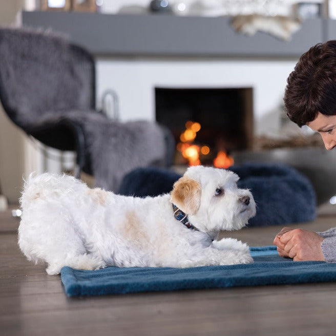 Tapis polaire pour chien HKM Anam Cara bleu pétrole