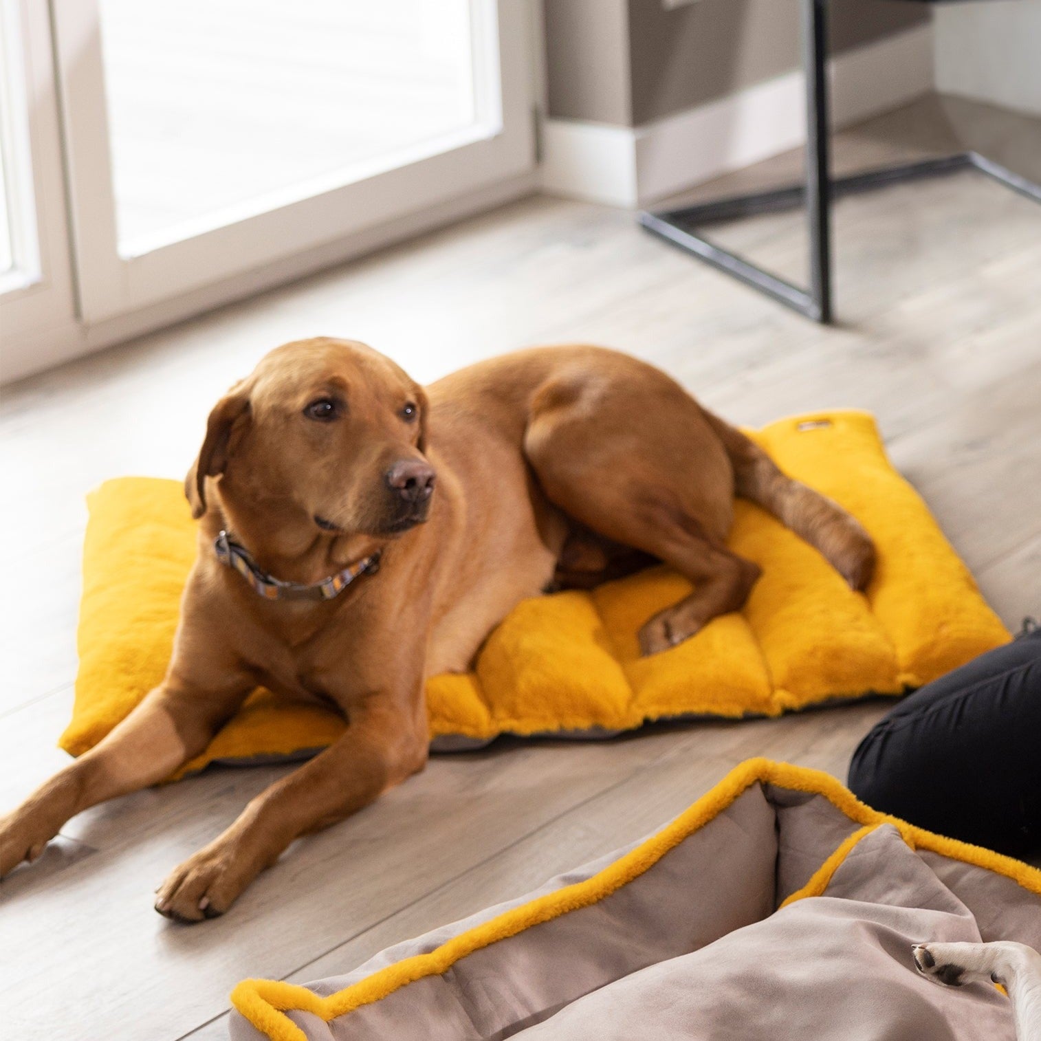 Tapis de voyage en polaire pour chiens HKM Anam Cara Travel taupe et jaune orangé
