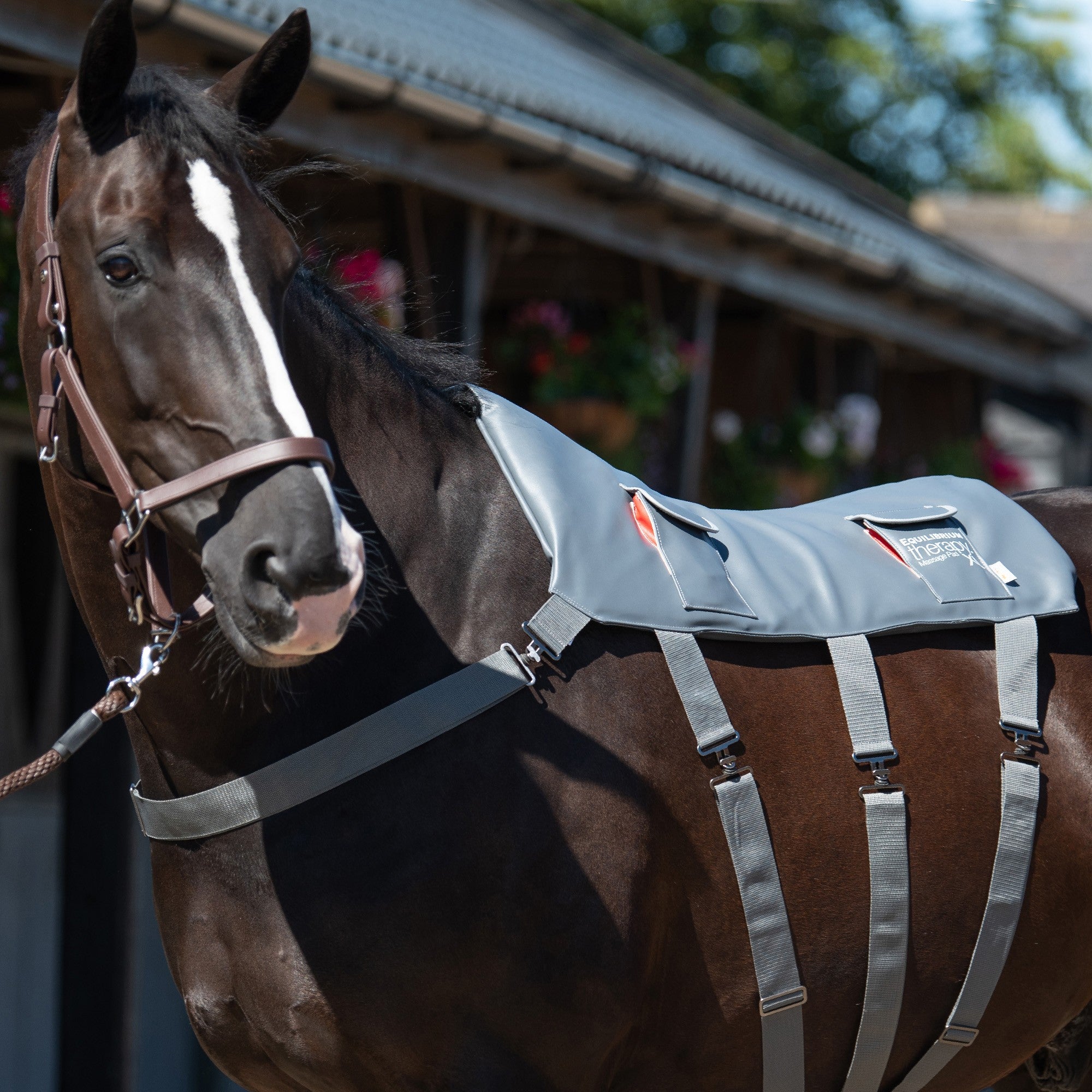 Tapis de massage pour poneys et chevaux Equilibrium