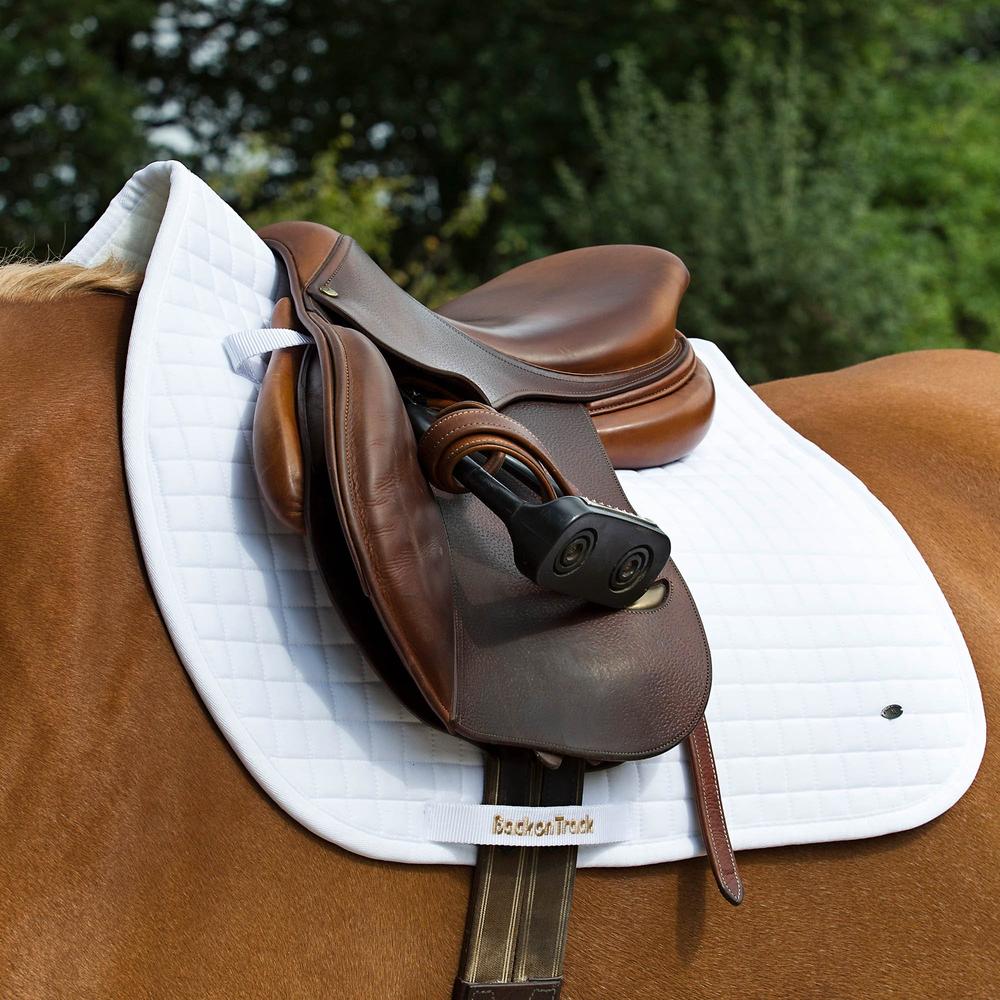 Sella Multiuso Terapeutica Back On Track Bianca: Benessere Per Il Cavallo