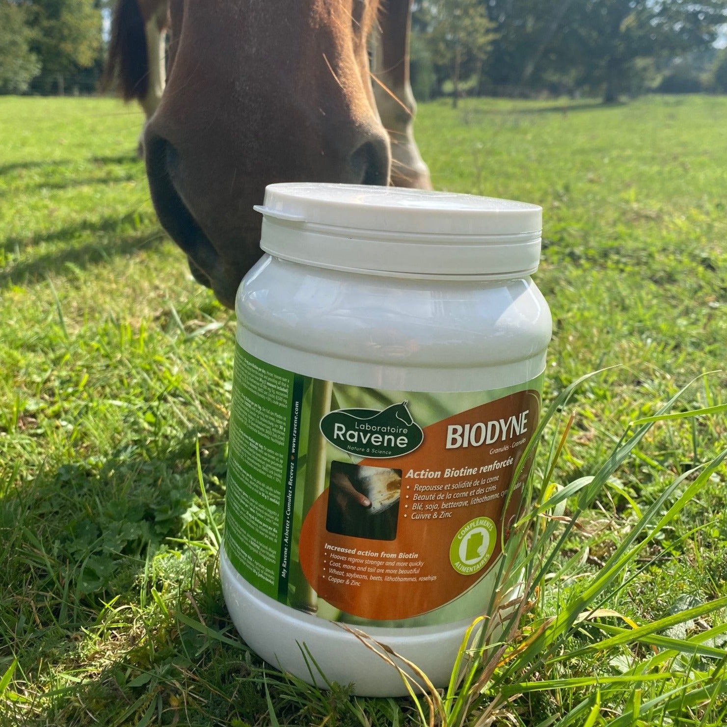Granulés pour la repousse et la solidité de la corne des chevaux Ravene Biodyne