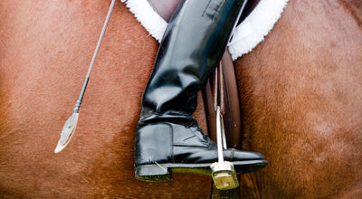 Quelle marque de bottes d'équitation choisir ? Notre top 6