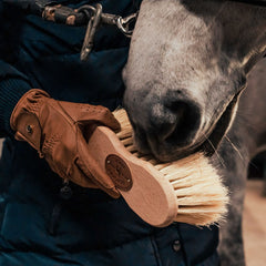 Brosse cheval