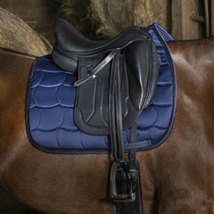 Selles dressage