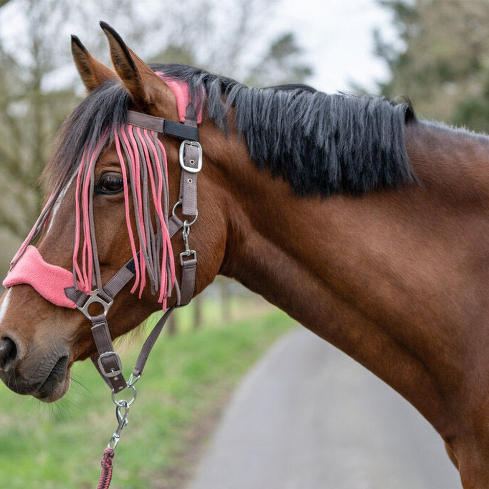 Licol Set de licol mousqueton & franges détachables HKM poney en situation
