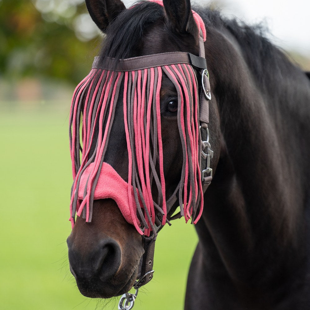 Licol Set de licol mousqu. anti p. franges détach. HKM poney en situation