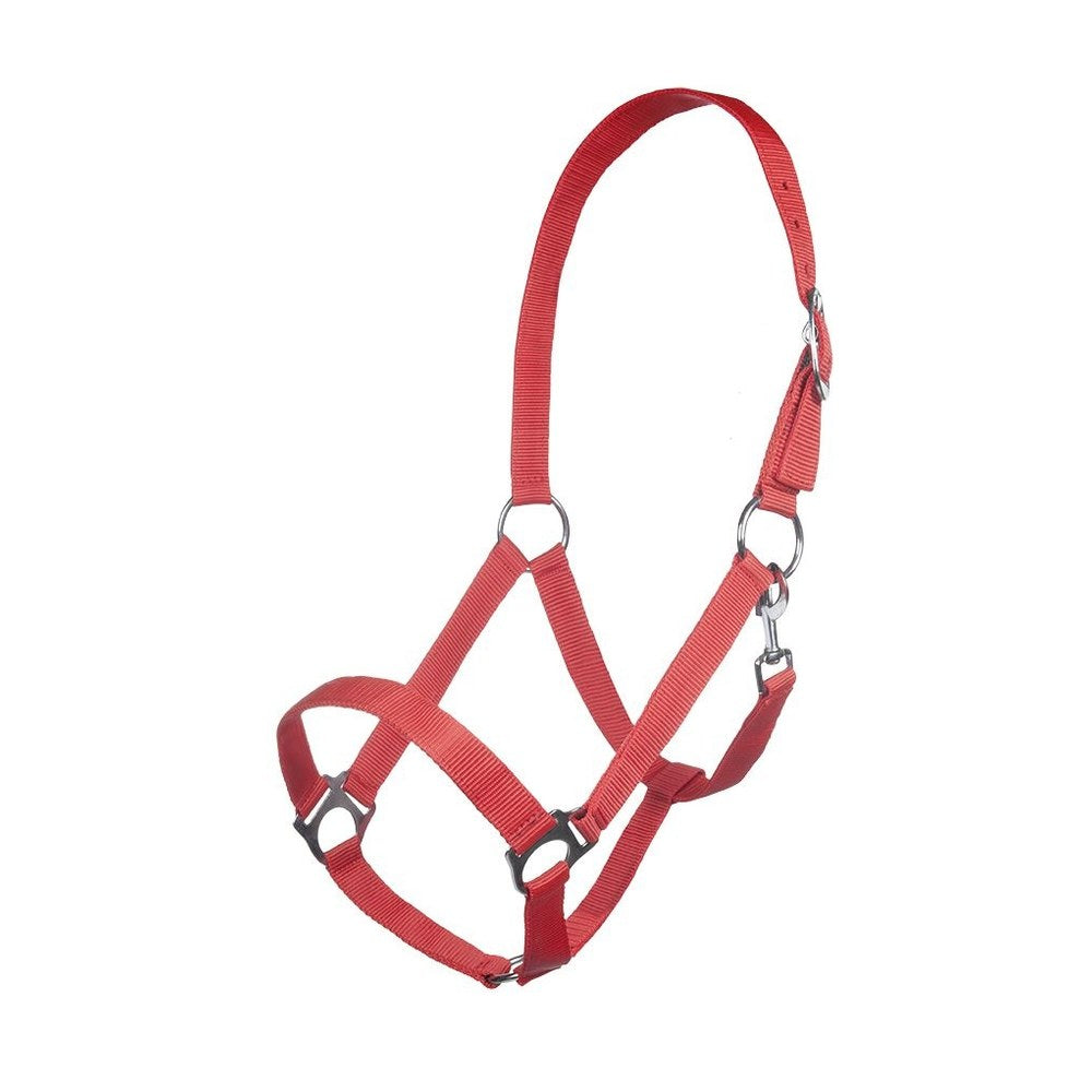 Licol Brisbane HKM poney Rouge