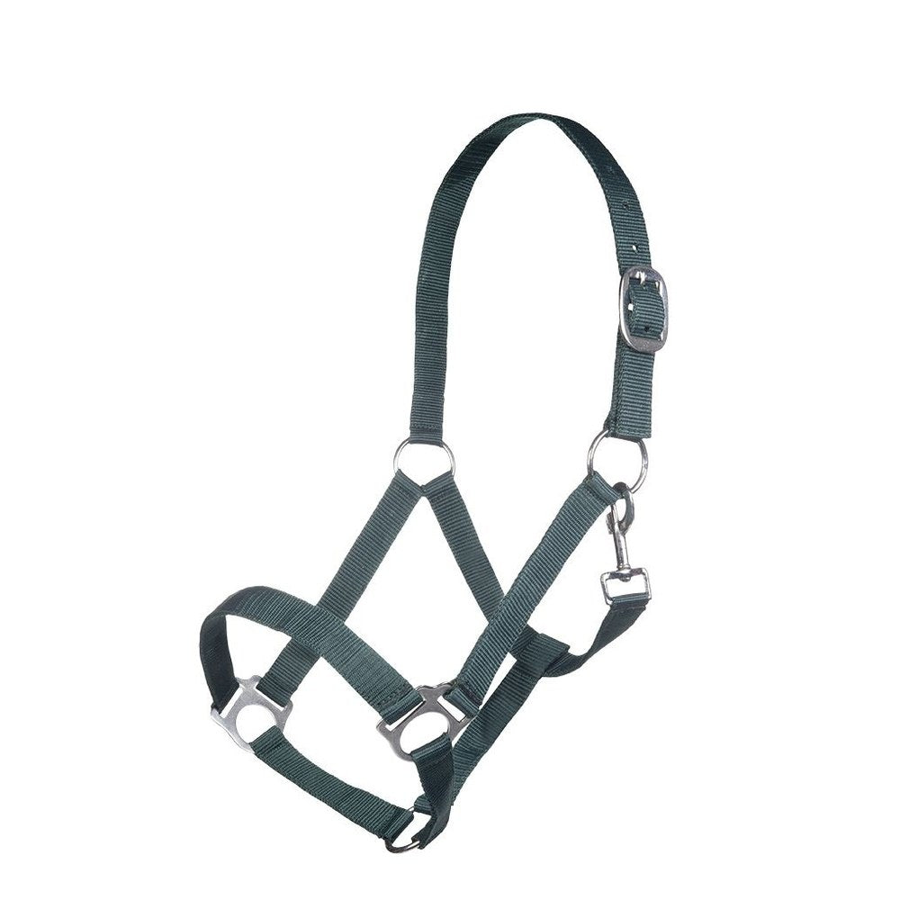 Licol Brisbane HKM poney Vert foncé