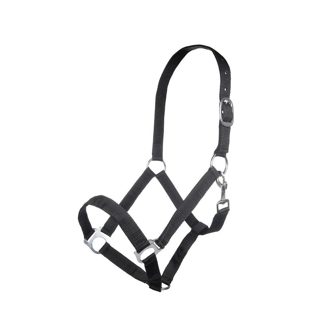 Licol Brisbane HKM poney Noir