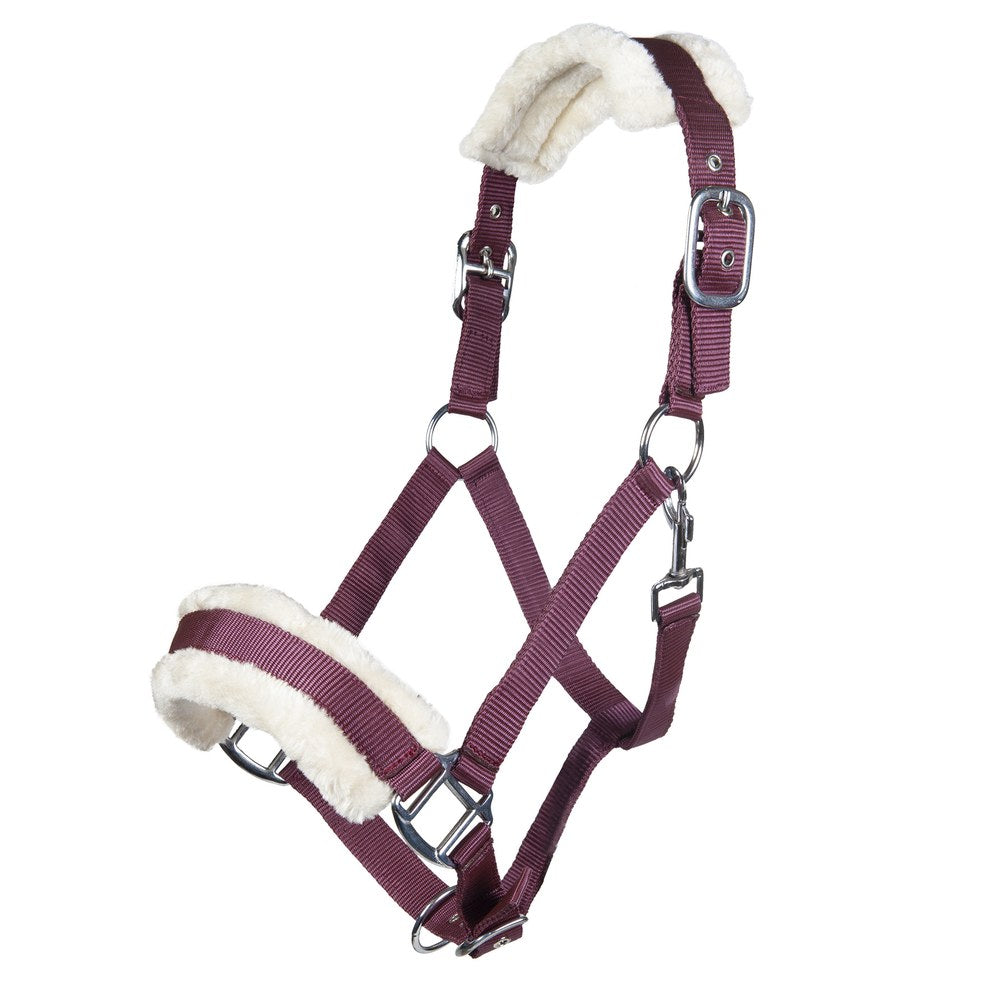 Licol Bischofshofen , rembourrage Teddy HKM poney Rouge foncé