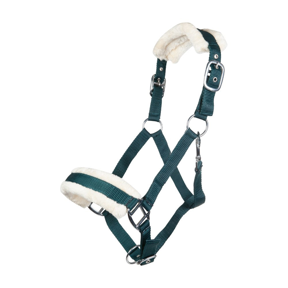 Licol Bischofshofen , rembourrage Teddy HKM poney Vert foncé