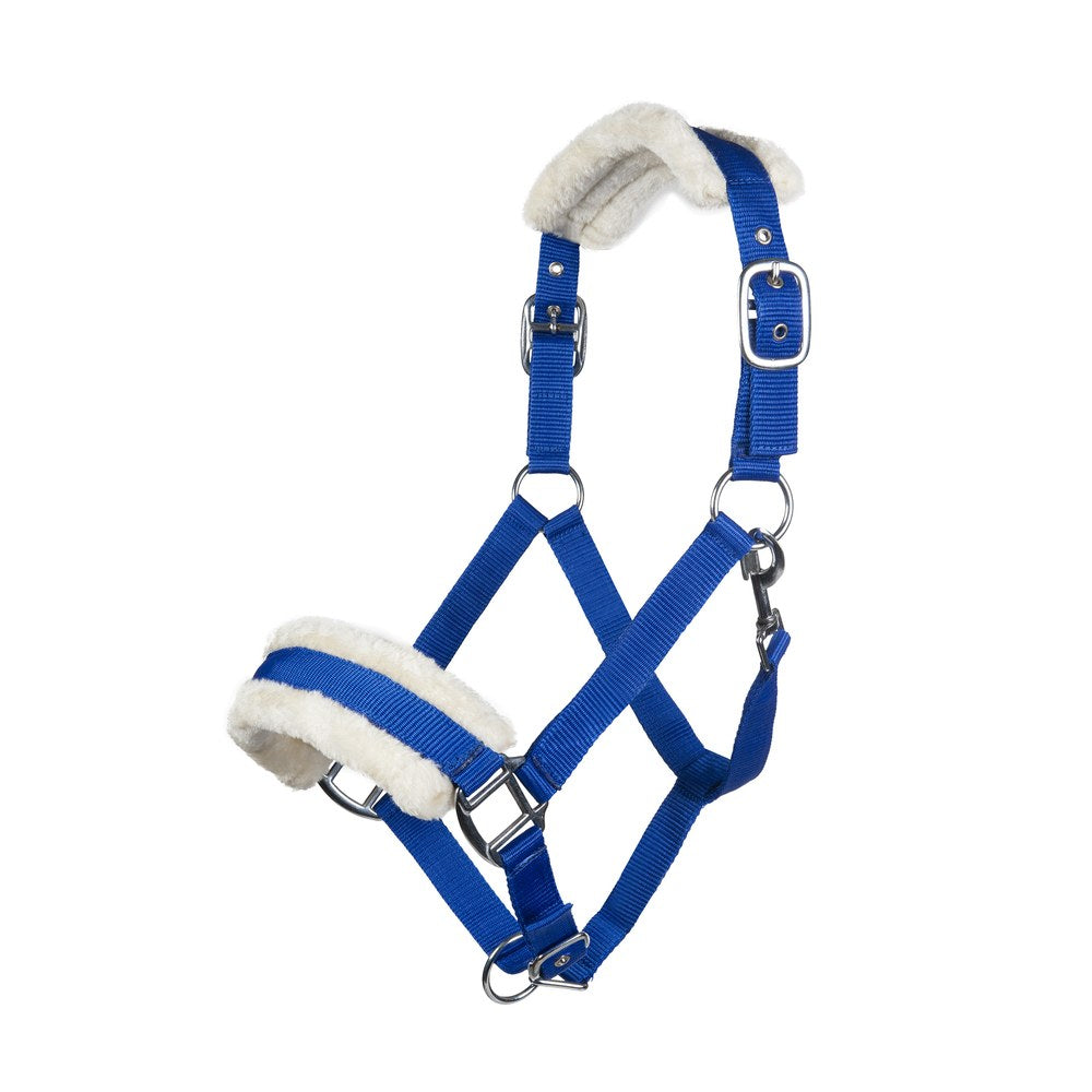 Licol Bischofshofen , rembourrage Teddy HKM poney Bleu roi