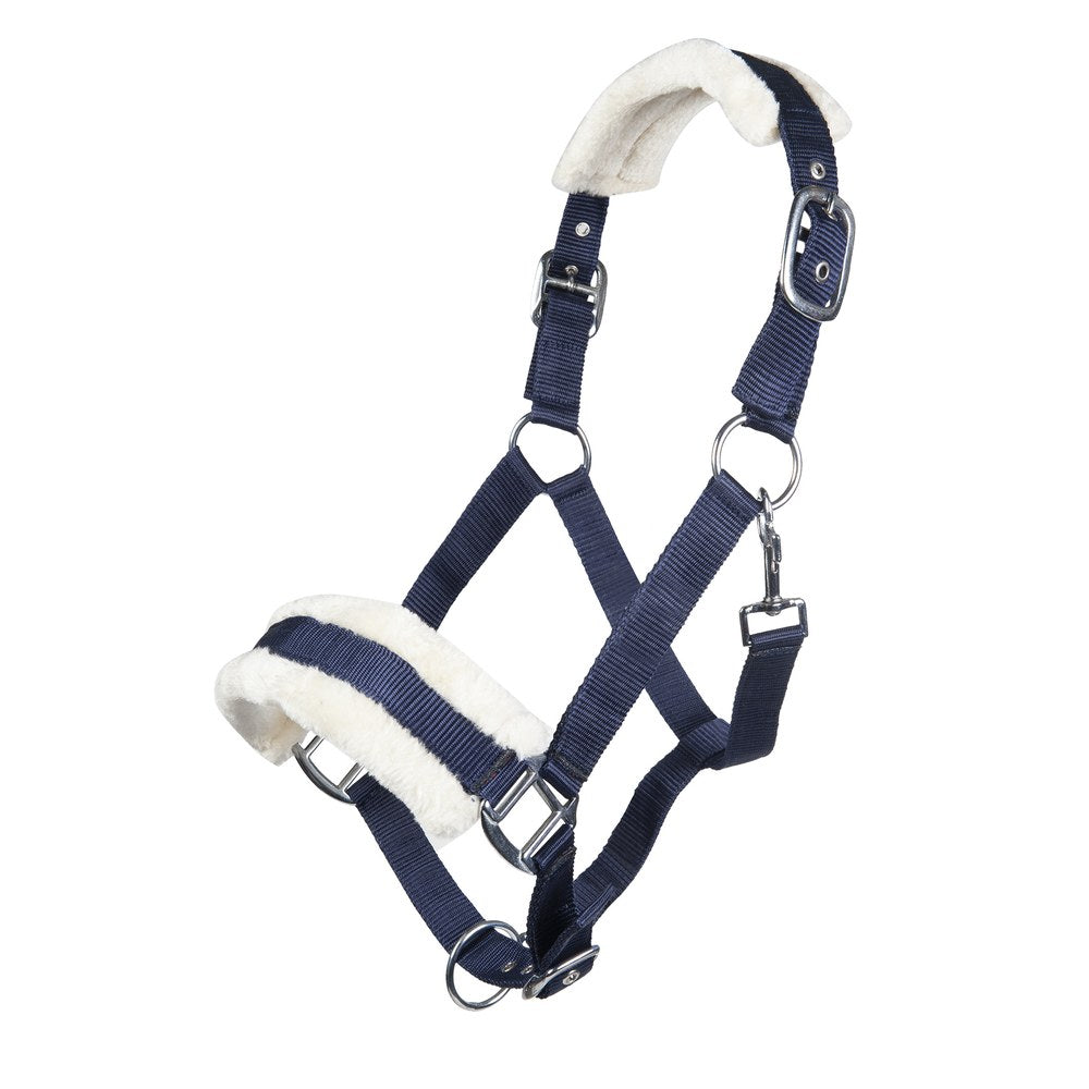 Licol Bischofshofen , rembourrage Teddy HKM poney Bleu foncé