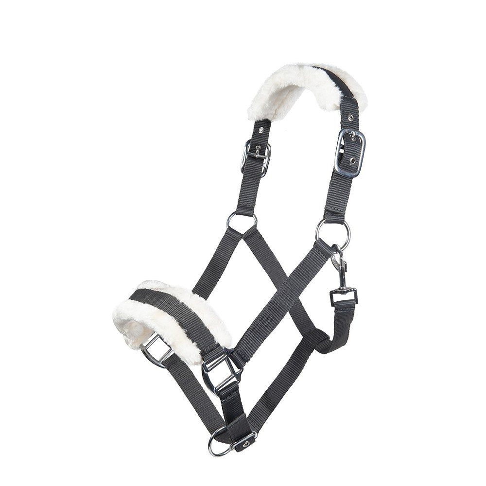 Licol Bischofshofen , rembourrage Teddy HKM poney Gris foncé