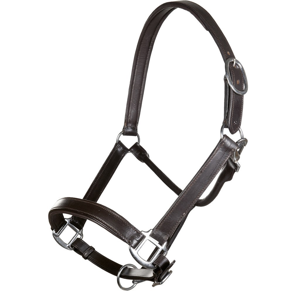 Licol en cuir Economic HKM poney Brun