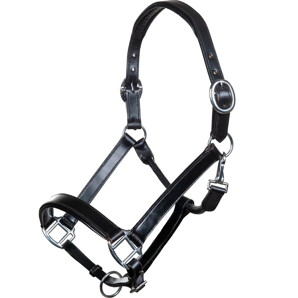Licol en cuir Economic HKM poney Noir