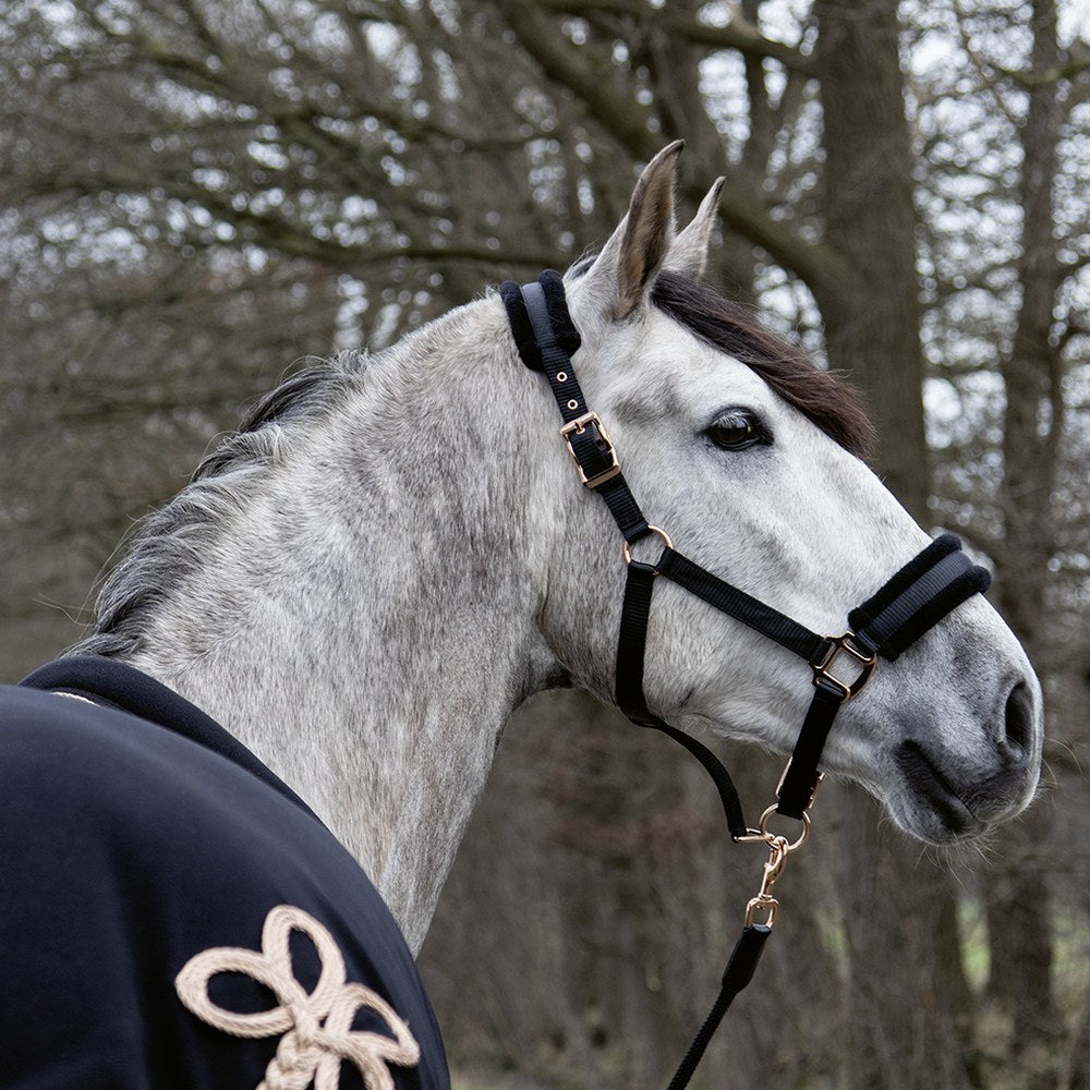 Licol Rosegold Glamour Style HKM poney en situation