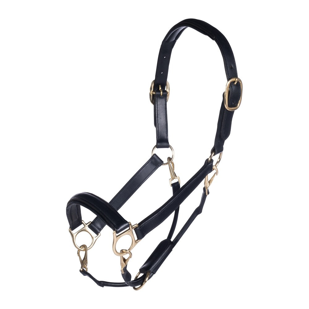 Licol en cuir Gold HKM poney Noir