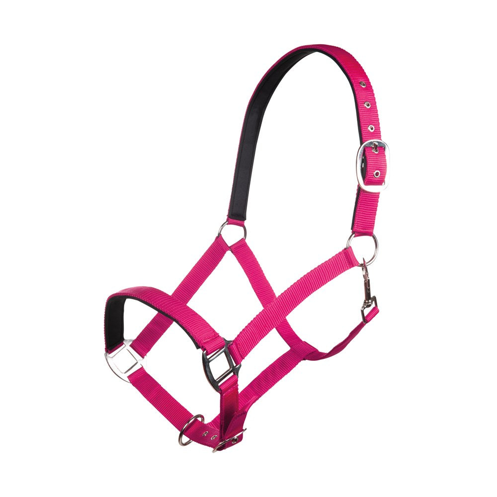 Licol Charming doublure douce HKM poney Rose