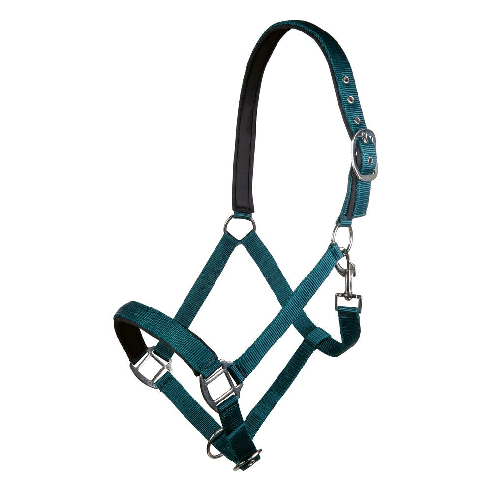 Licol Charming doublure douce HKM poney Vert foncé