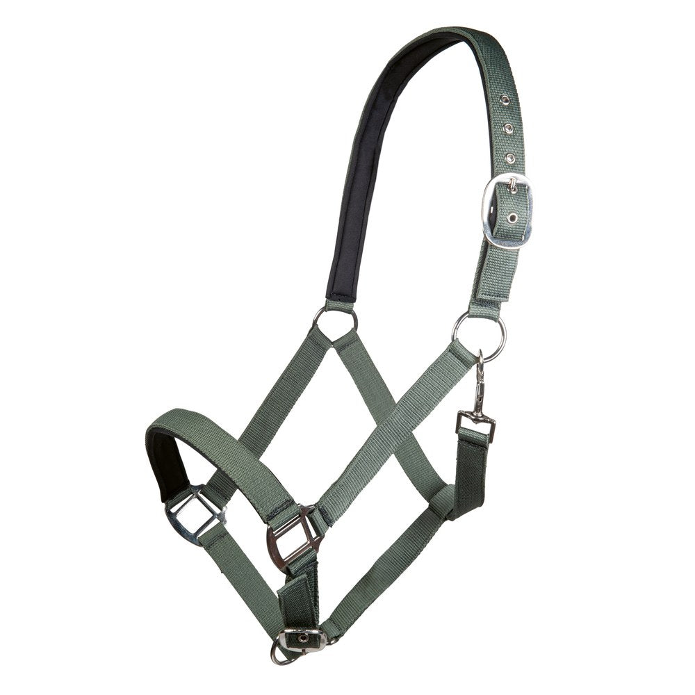 Licol Charming doublure douce HKM poney Vert fumé
