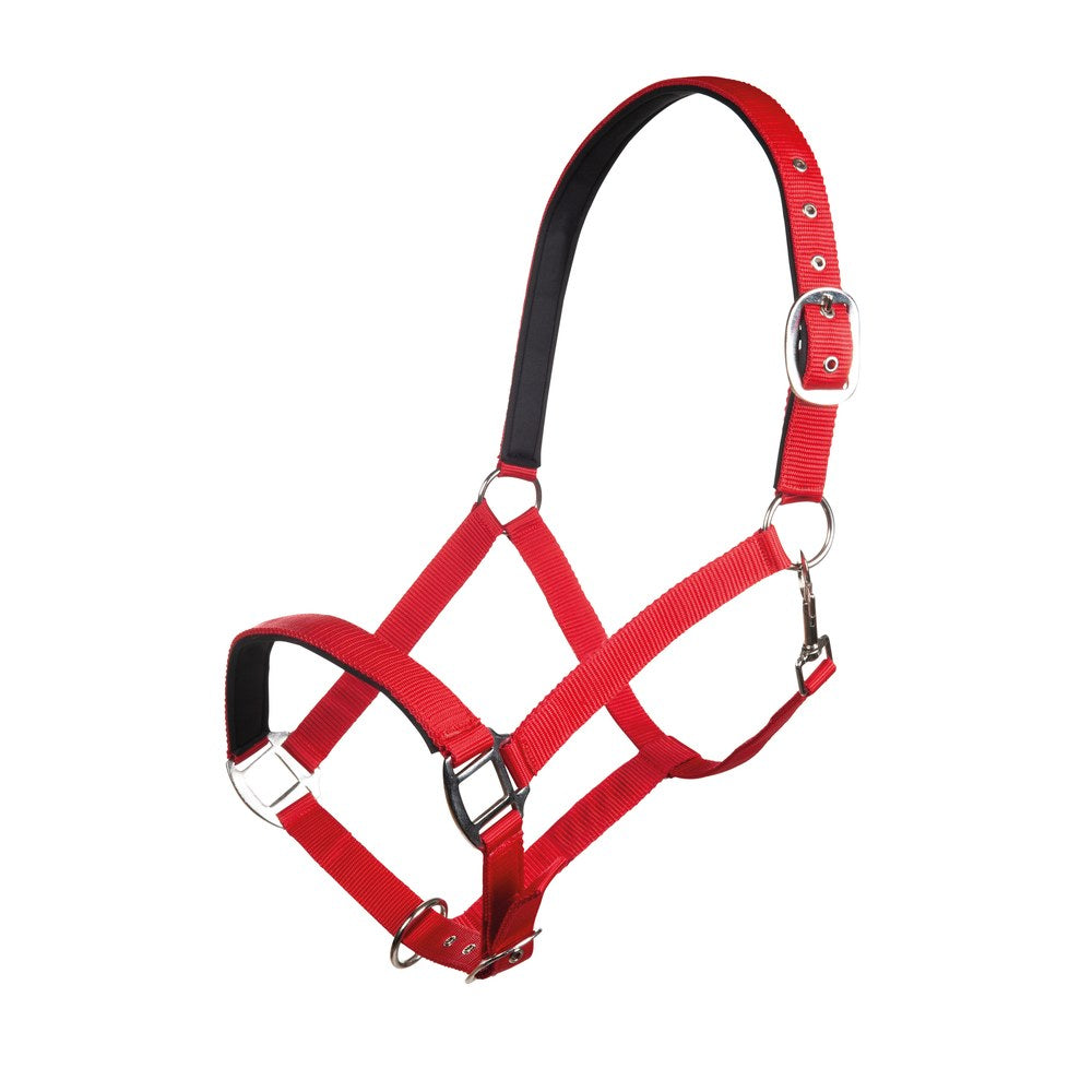 Licol Charming doublure douce HKM poney Cerise