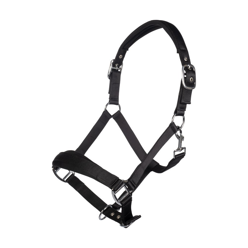 Licol Catherine HKM poney Noir