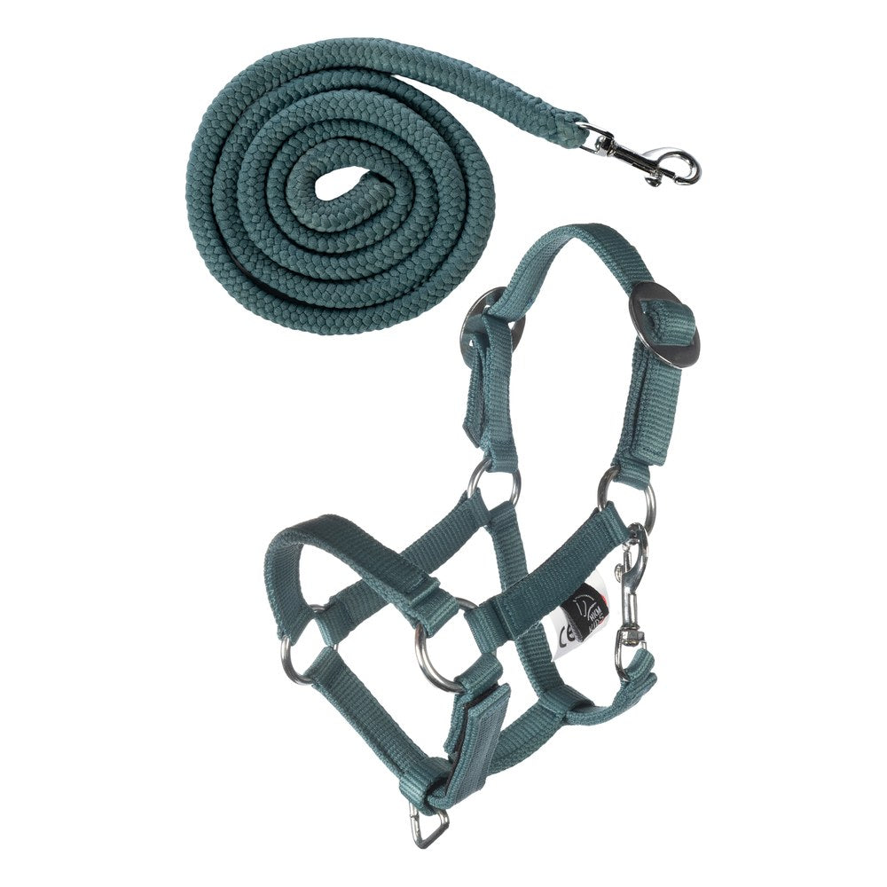 Licol et longe Hobby Horsing Basic HKM Turquoise