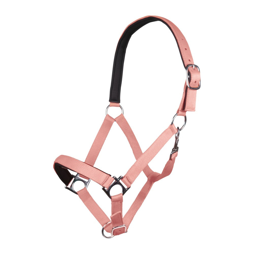 Licol Stars Softice , doublure douce HKM poney Néon corail