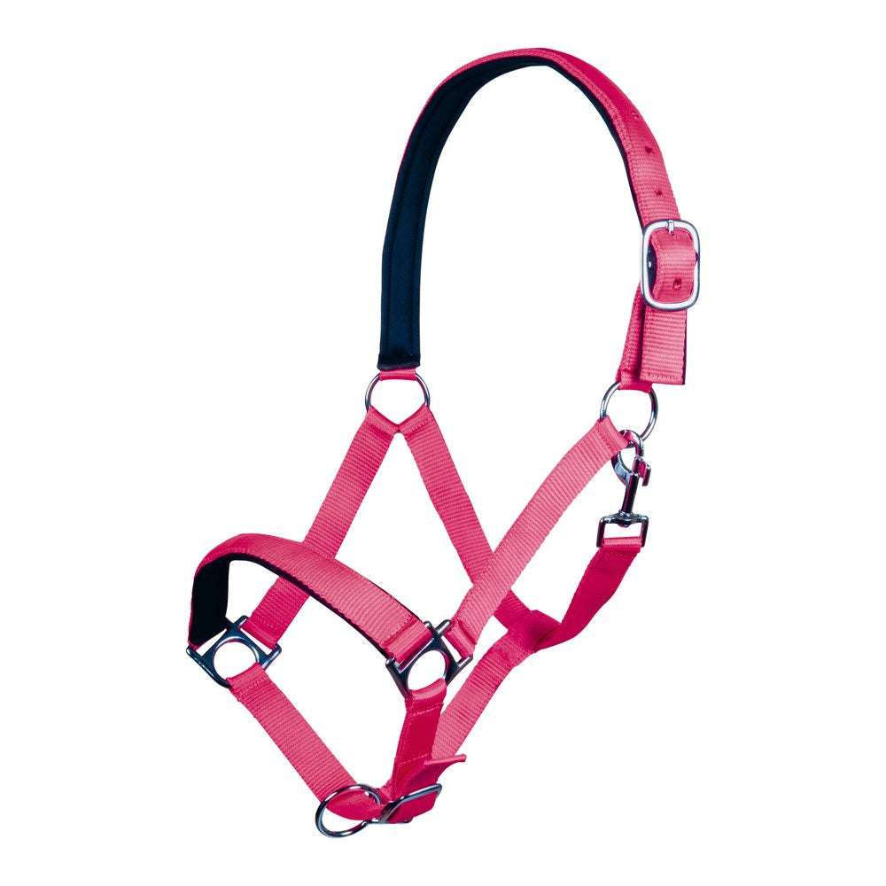 Licol Stars Softice , doublure douce HKM poney Rose