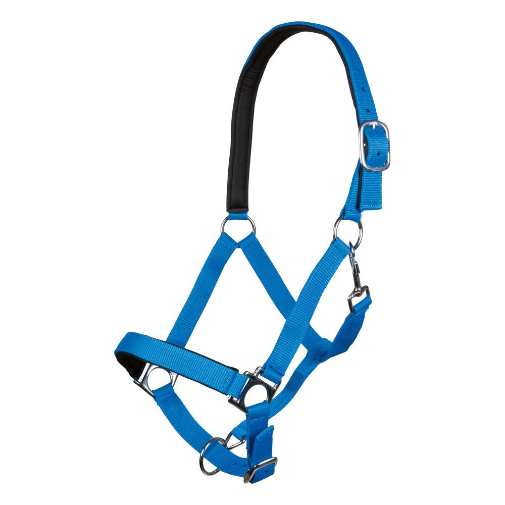 Licol Stars Softice , doublure douce HKM poney Bleu roi