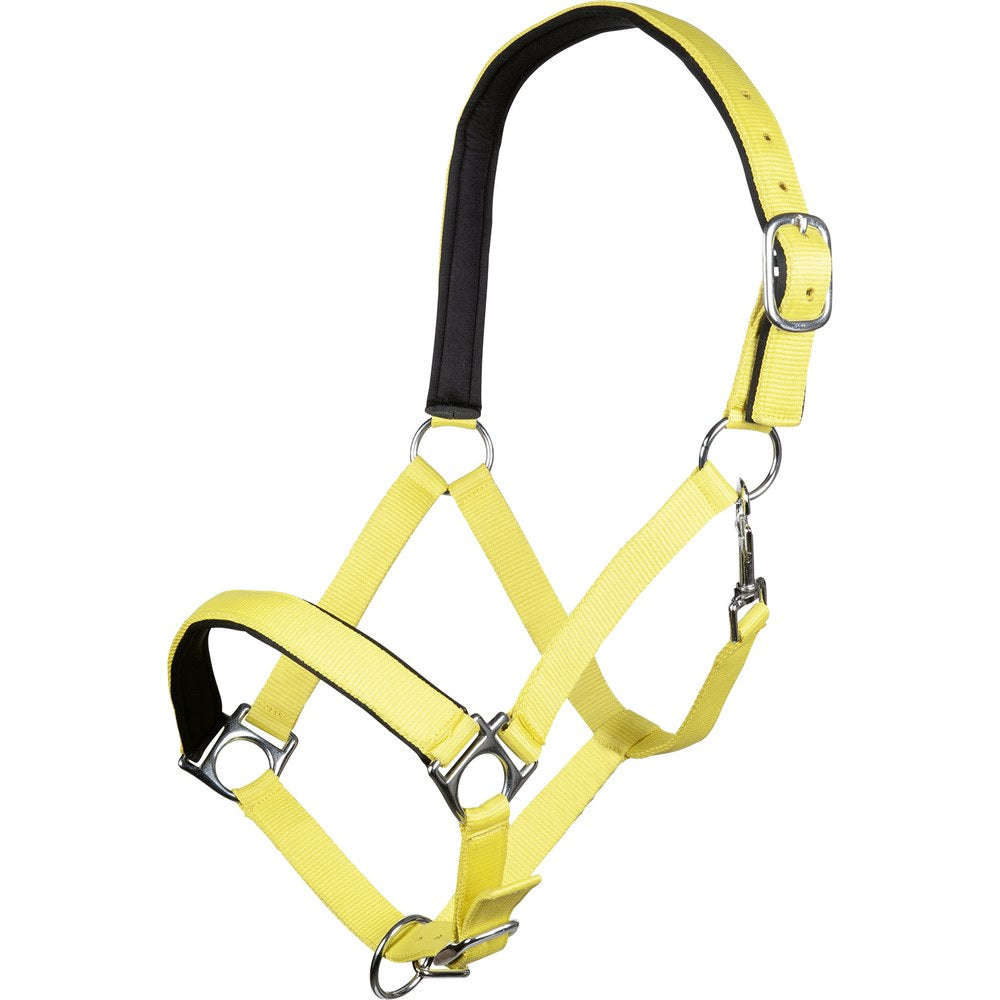 Licol Stars Softice , doublure douce HKM poney Jaune fluo