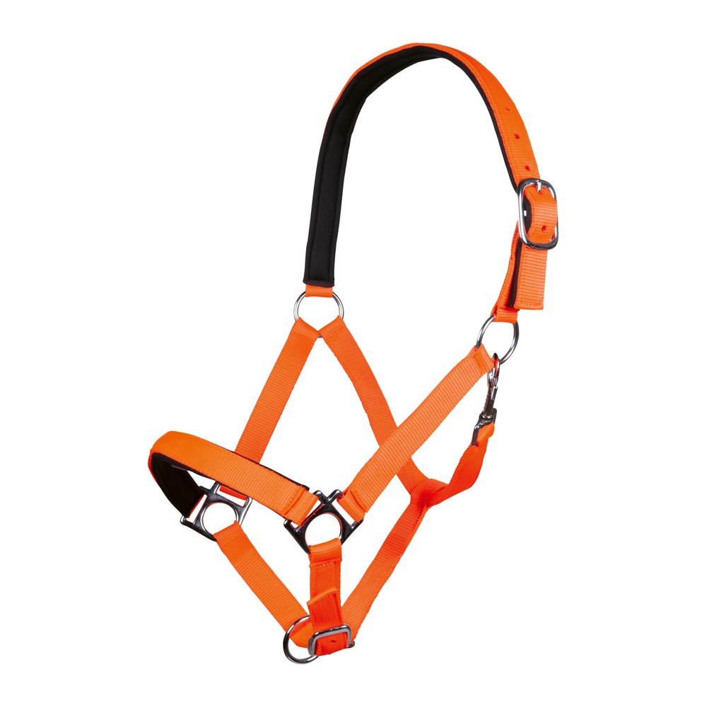 Licol Stars Softice , doublure douce HKM poney Orange fluo