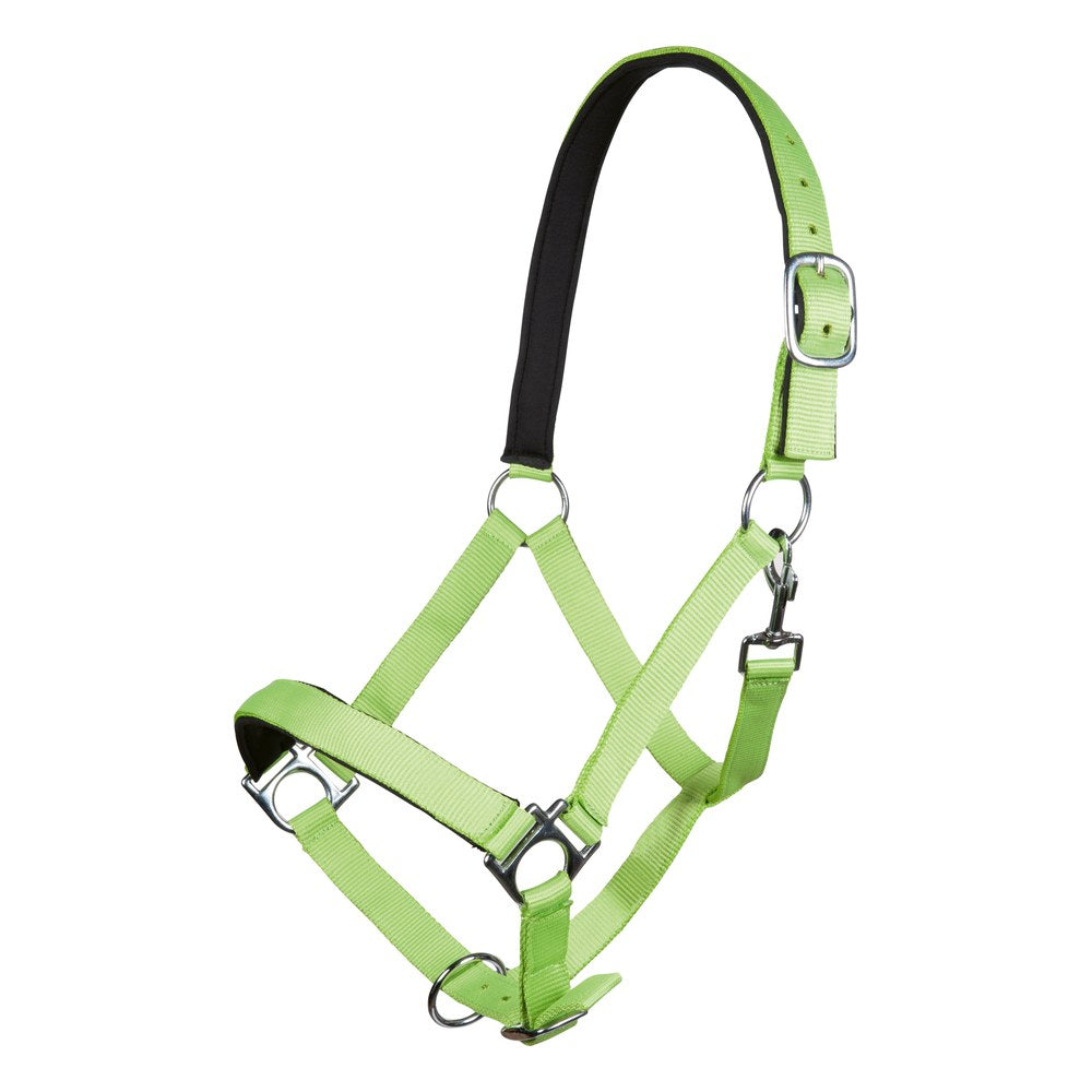 Licol Stars Softice , doublure douce HKM poney Vert fluo